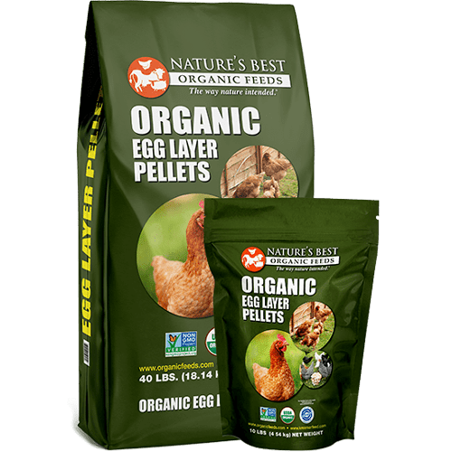 Healthy Dog Food - Image 4