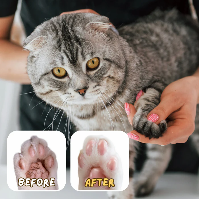 Paw Ointment Stick - Image 3